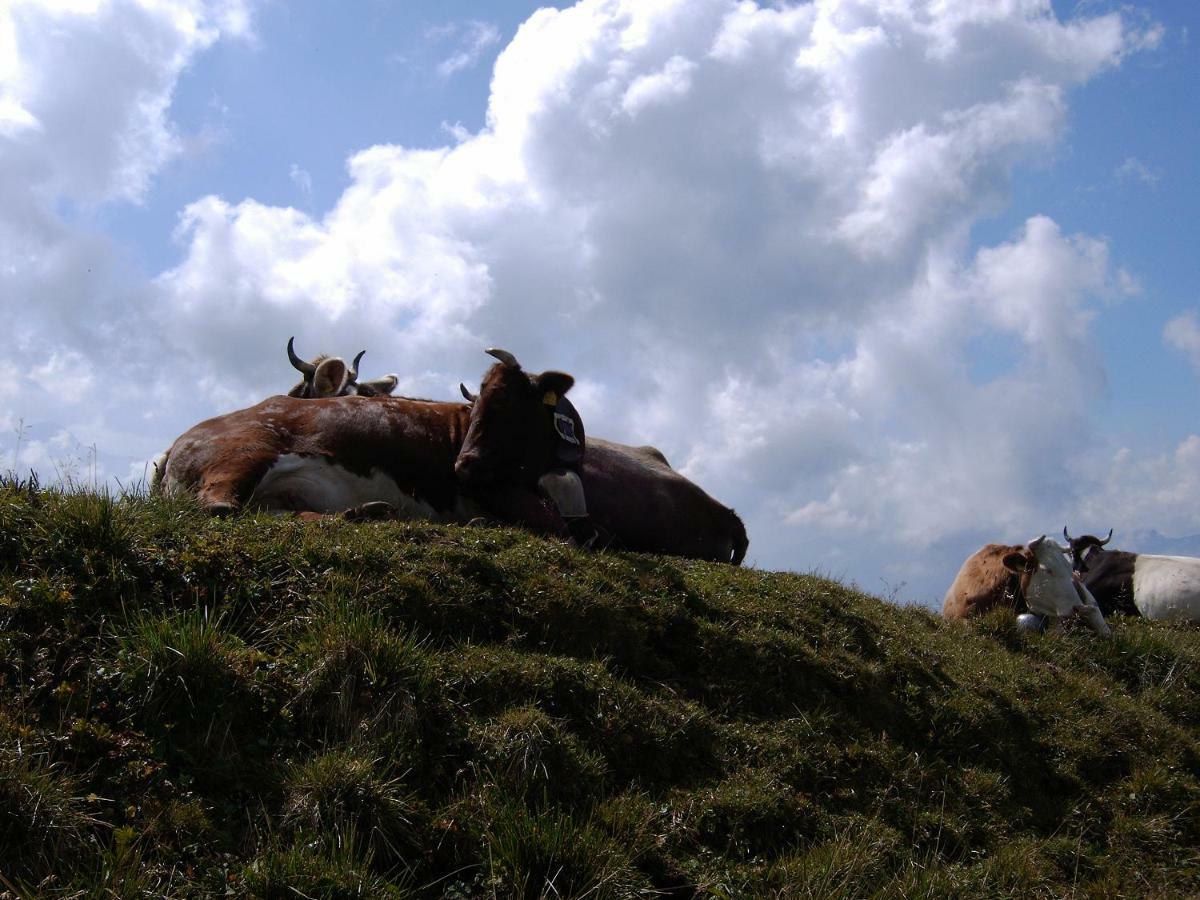 Allgaeu Haus Isny im Allgau Ngoại thất bức ảnh